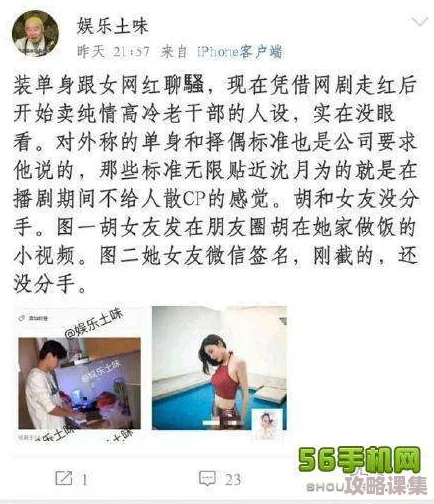 网红黑爆料吃瓜：揭示真相的同时也引发了网友们的热议与反思