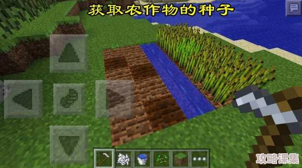 《我的世界》高效农耕策略：精选土壤改良与作物轮种技巧大公开