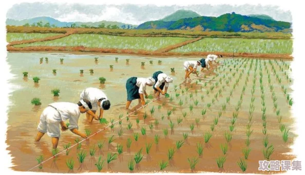 情侣插秧：田间的默契与爱的传承，展现了农耕生活中的浪漫与温馨