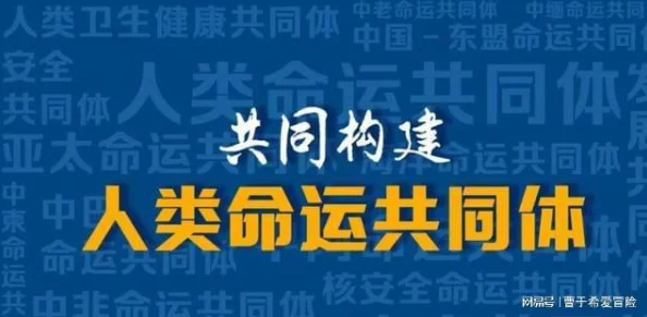 钢钢锵锵锵锵免费网站：用户体验极佳，内容丰富多样，值得一试的优质平台！
