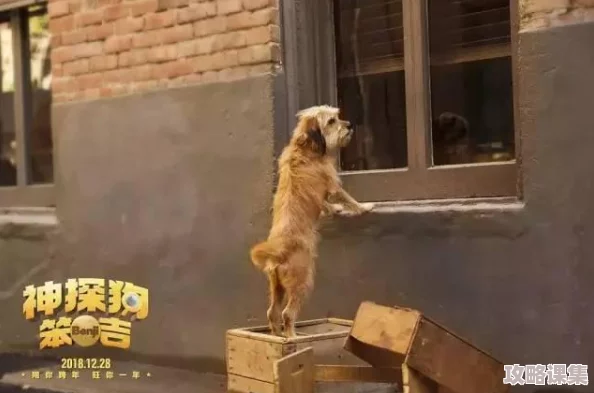 地铁生存挑战：妹控战术与狗砸装备的全面性能对比评析
