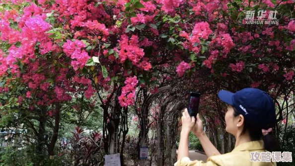 樱花草在线观看吗看片？一键开启春日浪漫之旅，花语绽放心动瞬间