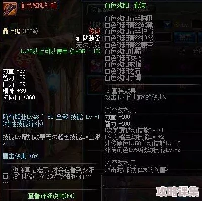 《地下城与勇士》奶妈职业精选：探索最佳防具上衣选择，提升辅助与治疗效能的奥秘
