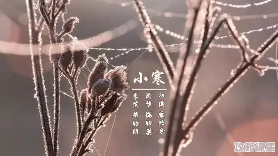 将朱竹清抓来繁殖后代的视频，展现了珍稀物种保护的重要性与科学价值