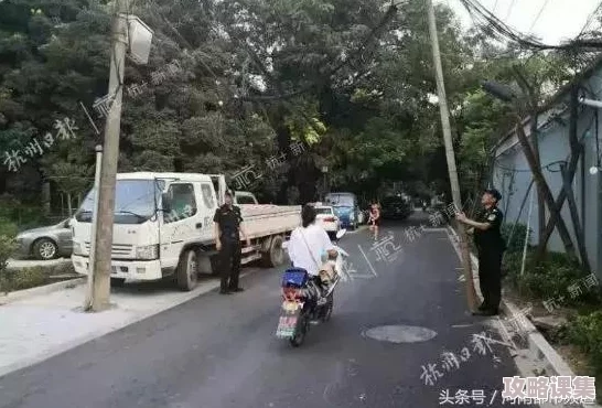 掌握《街头篮球》顶尖大龙战术精髓：从零到高手的实战进阶指南，你也能称霸球场！