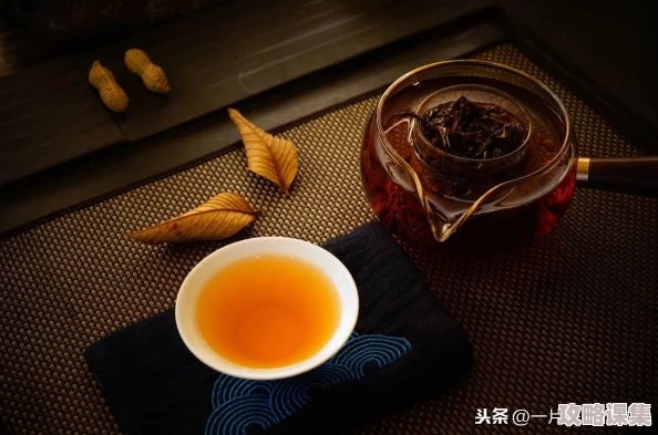 独家揭秘：最终庇护所极速通关策略与精华内容深度探索指南