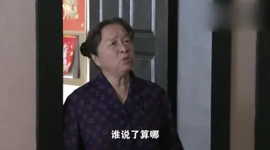 小刘与全村老奶奶的作者背景资料：网友评价其作品深入人心，感人至深，引发热烈讨论与共鸣