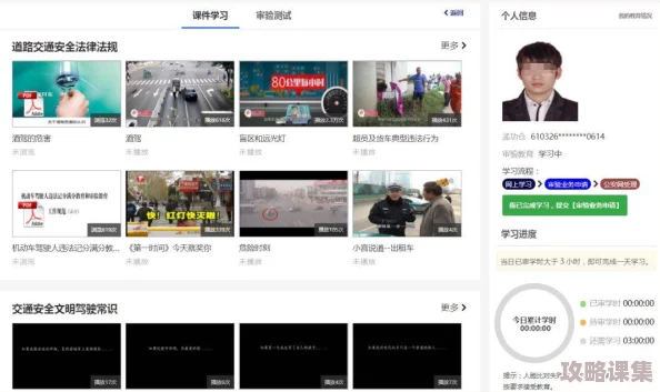 草莓视频下载网站：网友评价解析，使用体验与下载速度的真实反馈分享
