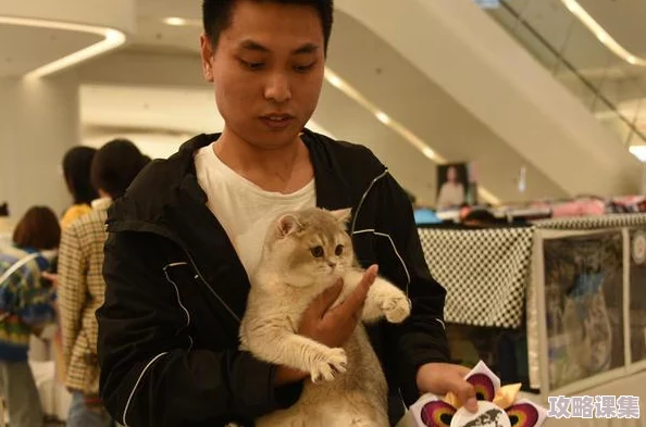 成人猫咪最新地域网名是什么啥，网友纷纷表示：“这个名字真有趣，感觉很符合猫咪的个性！”