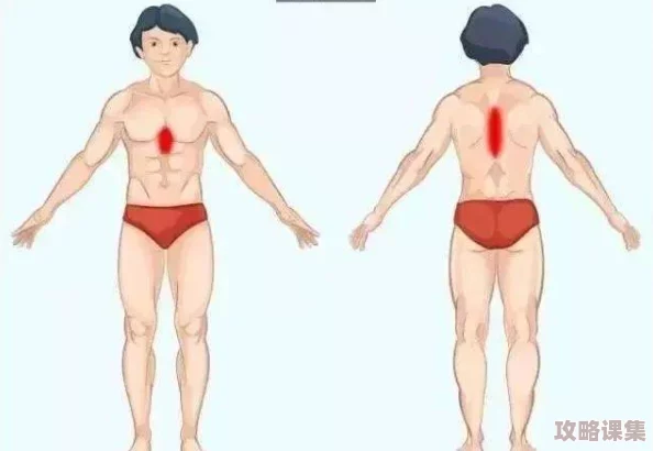 男女生拆拆很痛的轮滑鞋免费，理解其中的乐趣与挑战，让我们一起体验这份独特的感受！